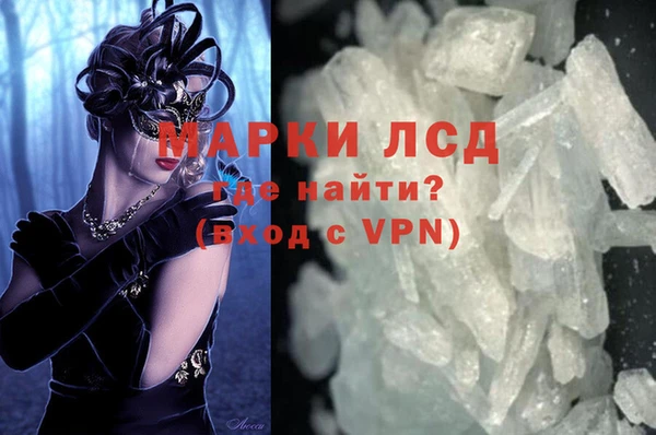 индика Лабытнанги