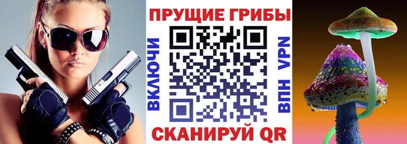 Галлюциногенные грибы Psilocybe  shop состав  Называевск  цены наркотик 