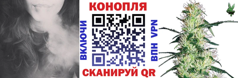 Бошки Шишки Amnesia  Называевск 